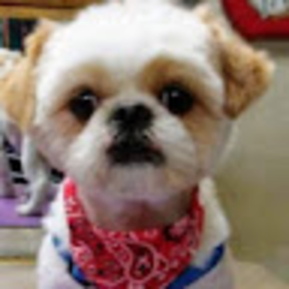 Meet your Posher, Betty - Picture 1 of 1